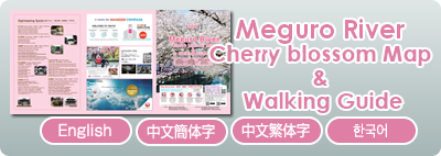 Meguro River Cherry Brossom Map & Walking Guide 2019