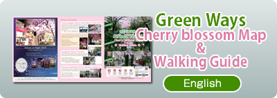 Meguro Green Road Cherry Brossom Map & Walking Guide 2019