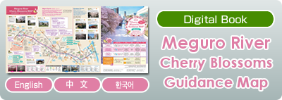 Meguro River Cherry Blossoms Guidance Map 2024