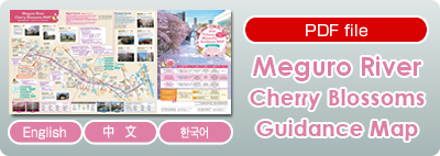 Meguro River Cherry Blossoms Guidance Map 2024（PDF）