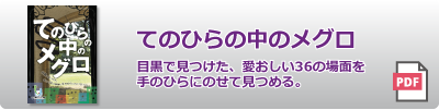 てのひらのめぐろ