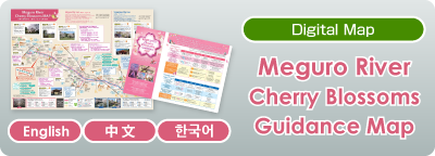 Meguro River Cherry Blossoms Guidance Map 2026